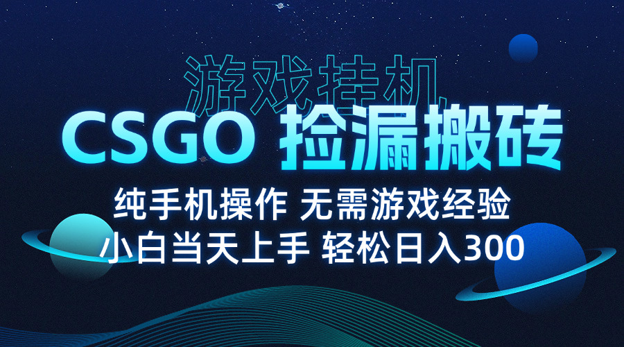 8月最新游戏搬砖，CSGO纯挂机，不需要玩游戏，实现真挂机，月入1W+-奇奇网创