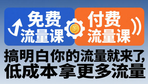 拼多多免费流量课+付费流量课，搞明白你的流量就来了，低成本拿更多流量-奇奇网创