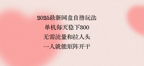 2025最新网盘自撸玩法，单机每天稳下3张，无需流量和拉人头，一个人就可轻松矩阵，全网独一份【揭秘】-奇奇网创