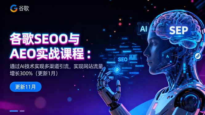 谷歌SEO与AEO实战课程：通过AI技术实现多渠道引流，实现网站流量增长300%-奇奇网创