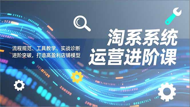淘系系统运营进阶课2.0，流程规范、工具教学、实战诊断，进阶突破，打造高盈利店铺模型-奇奇网创