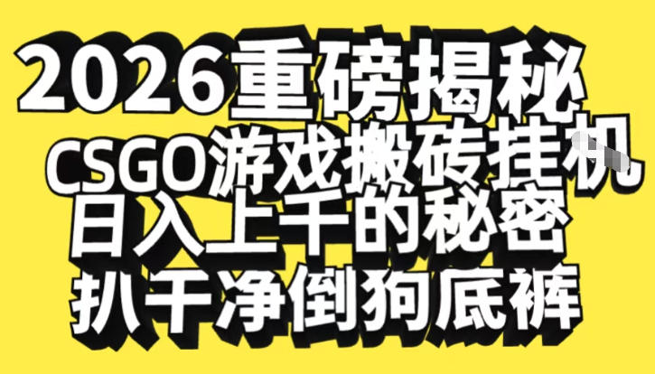 2026开年重磅解密，CSGO游戏搬砖挂G日入1k+的秘密，把倒狗的底裤扒干【揭秘】-奇奇网创